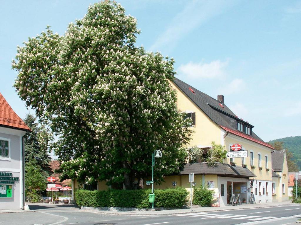 Hôtel Gasthof Thaller à Lebring Extérieur photo